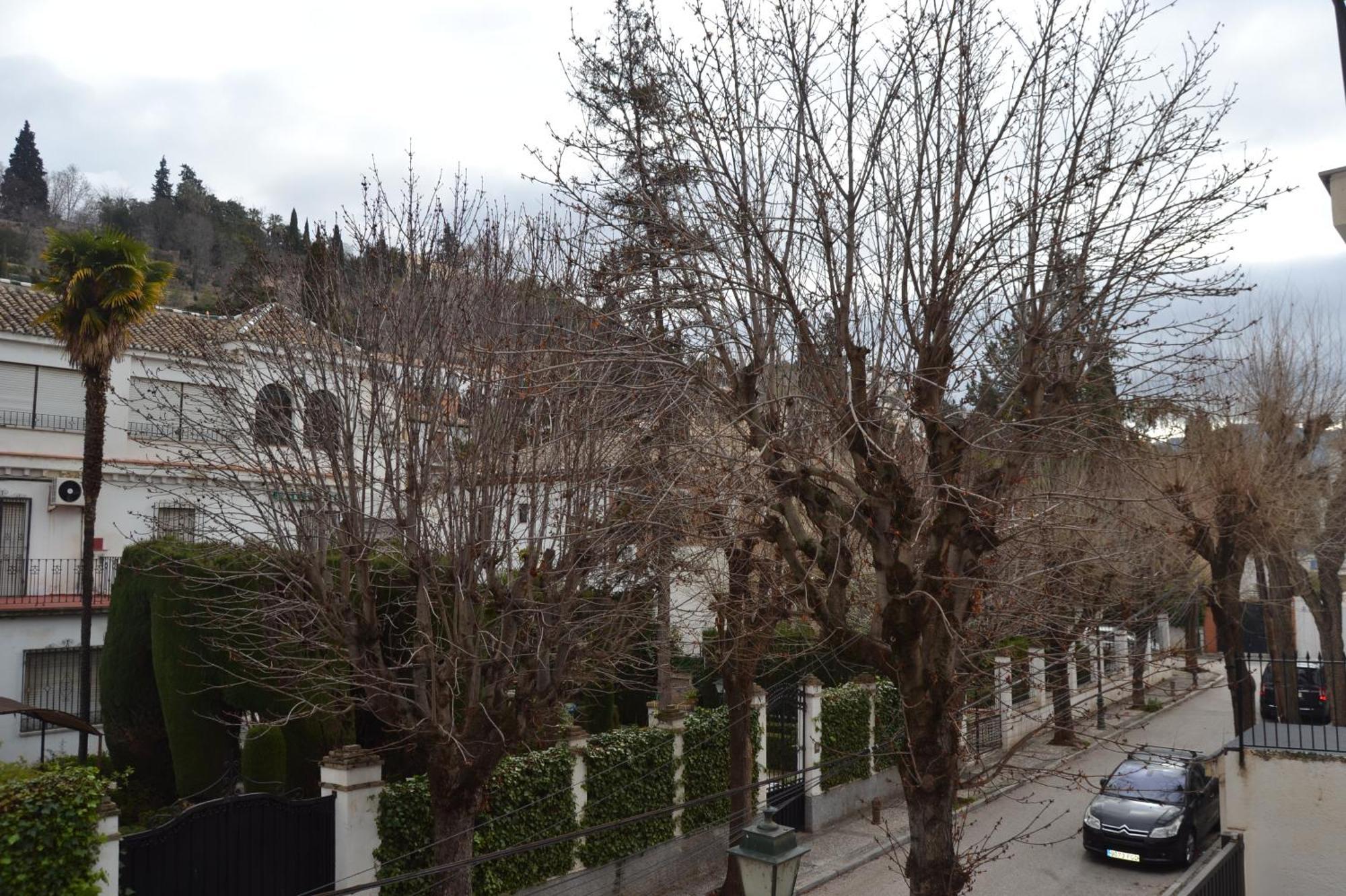 Carmen Del Cadi Apartment Granada Exterior photo